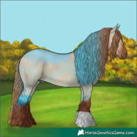 Horse Color:Red Dun 
