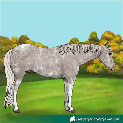 Horse Color:Silver Black Ice Tobiano Varnish 