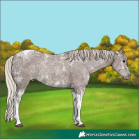 Horse Color:Silver Black Ice Tobiano Varnish