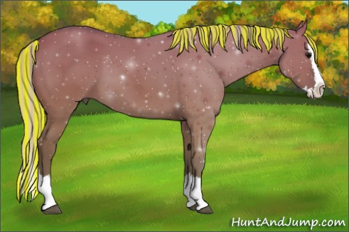 Horse Color:Painted Silver Grullo Sabino Splash 