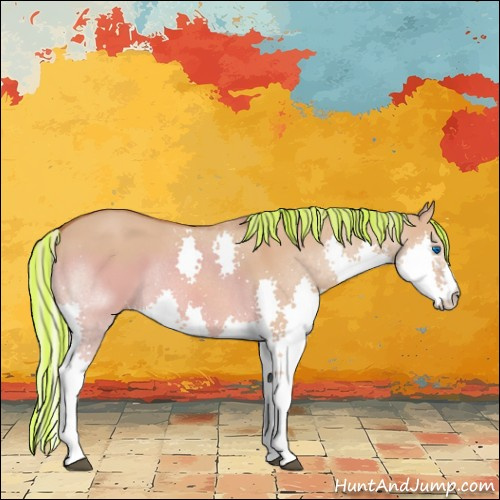 Horse Color:Painted Silver Bay Dun Splash Rabicano 