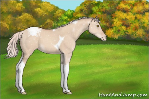 Horse Color:Silver Classic Champagne Dun Tobiano Varnish 