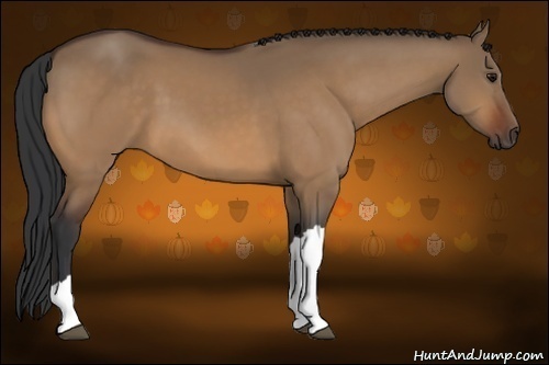 Horse Color:Bay Dun