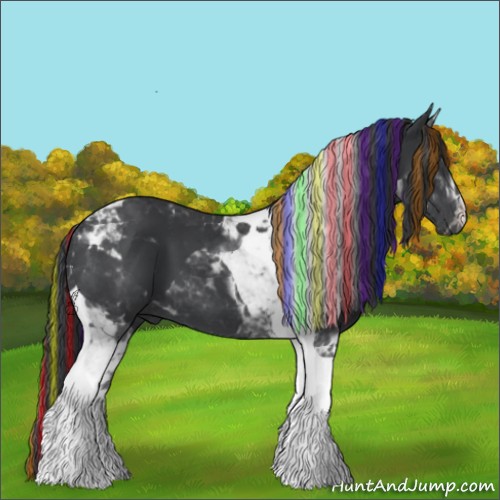 Horse Color:Painted Black Tobiano 