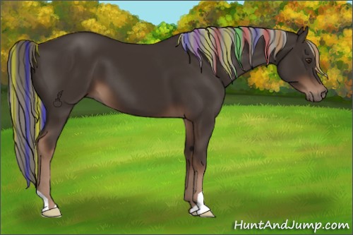 Horse Color:Painted Liver Chestnut 