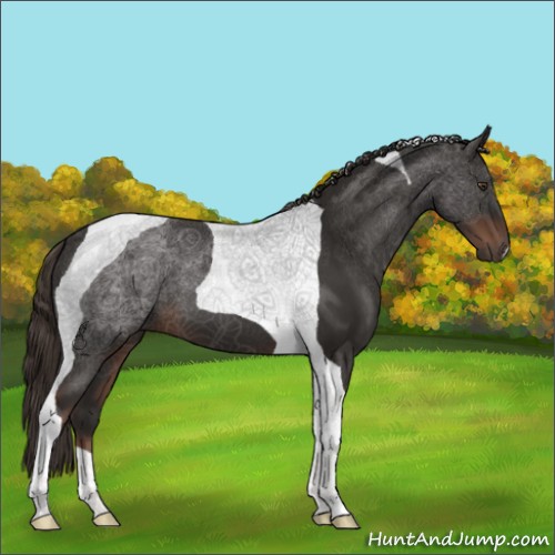 Horse Color:Liver Chestnut Tobiano 