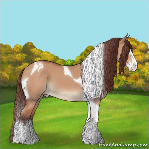 Horse Color:Chocolate Brown Dun Splash Tobiano Appaloosa 