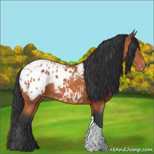 Horse Color:Bay Ice Tobiano Appaloosa