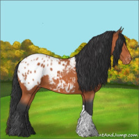 Horse Color:Bay Ice Tobiano Appaloosa 