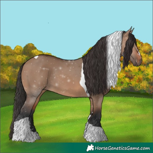Horse Color:Brown Dun Tobiano Rabicano 