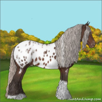 Horse Color:Silver Brown Ice Tobiano Near Leopard 
