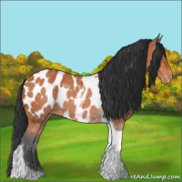 Horse Color:Bay Tobiano Blanket 
