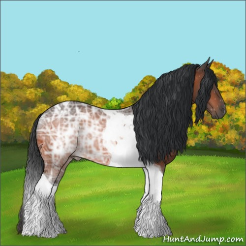 Horse Color:Bay Ice Tobiano 
