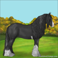 Horse Color:Black Splash Tobiano
