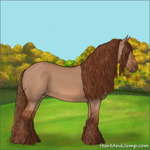 Horse Color:Red Dun Rabicano 