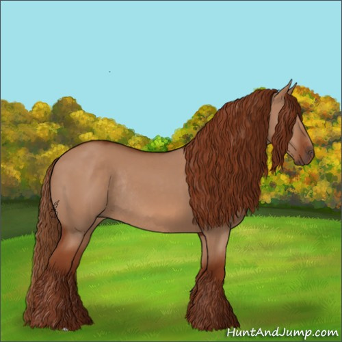 Horse Color:Red Dun Rabicano