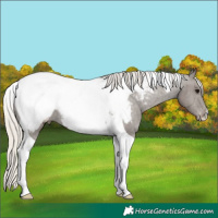 Horse Color:Silver Black Tobiano Snowcap 