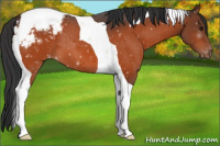 Horse Color:Bay Tobiano Varnish 