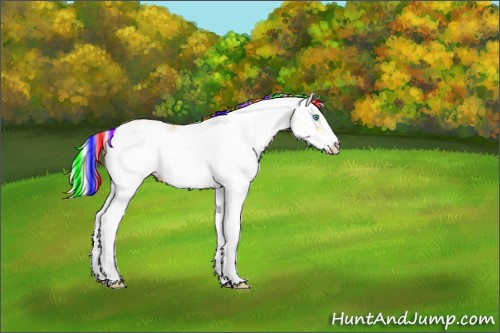 Horse Color:Painted Gold Cream Champagne Sabino 