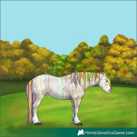 Horse Color:Painted Chestnut Ice Rabicano