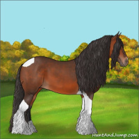 Horse Color:Bay Tobiano 