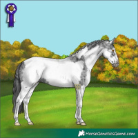 Horse Color:White Spotted Black Tobiano Frame 