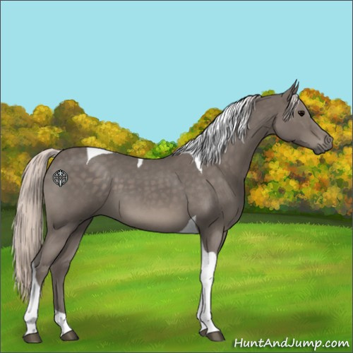 Horse Color:Silver Blue Roan Tobiano 