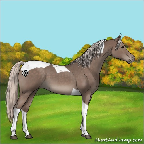Horse Color:Silver Blue Roan Tobiano 