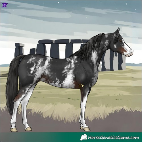 Horse Color:White Spotted Liver Chestnut Sabino 