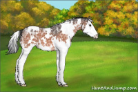 Horse Color:White Spotted Brown Ice Splash 