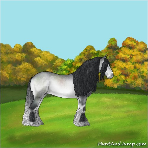 Horse Color:Brown Chinchilla Roan Onyx
