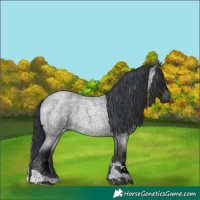 Horse Color:Midnight Brown Chinchilla Roan Onyx Tobiano 