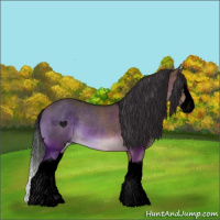 Horse Color:Void Brown Dun Sabino Splash 