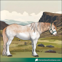 Horse Color:White Spotted Red Dun Splash Frame 