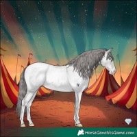 Horse Color:Platinum Chocolate Buckskin Roan Pearl 