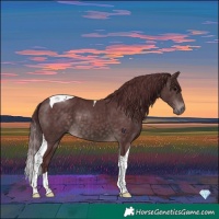 Horse Color:Platinum Chocolate Brown Tobiano 