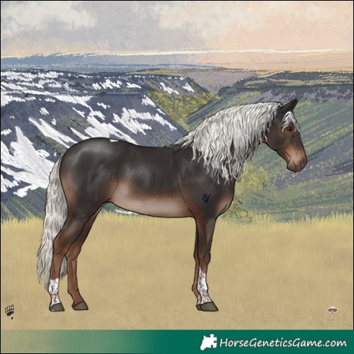 Horse Color:Liver Chestnut Mushroom Tobiano 