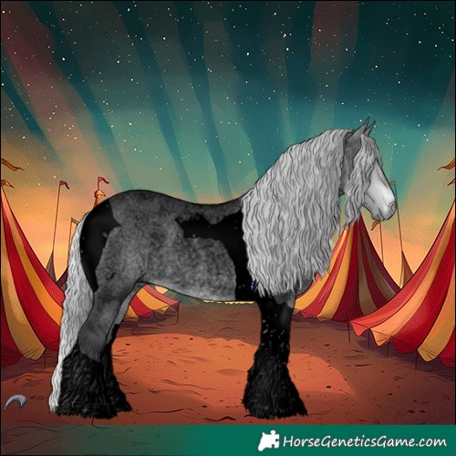 Horse Color:Void Silver Brown Chinchilla Roan Dun Tobiano 