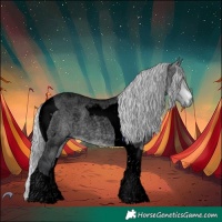 Horse Color:Void Silver Brown Chinchilla Roan Dun Tobiano