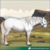 Horse Color:Gray Palomino Roan Frame