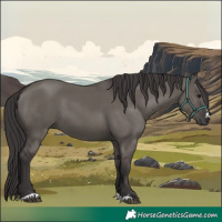 Horse Color:Smoky Grullo 