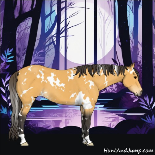 Horse Color:White Spotted Buckskin 