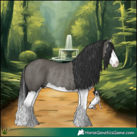 Horse Color:Grullo Splash Rabicano