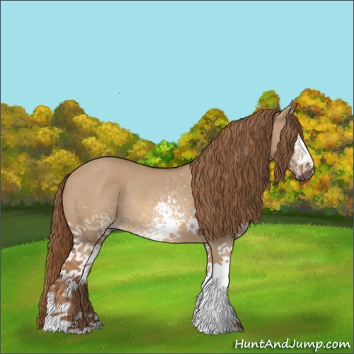 Horse Color:White Spotted Red Dun Rabicano 