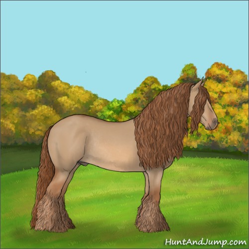 Horse Color:Red Dun Rabicano 