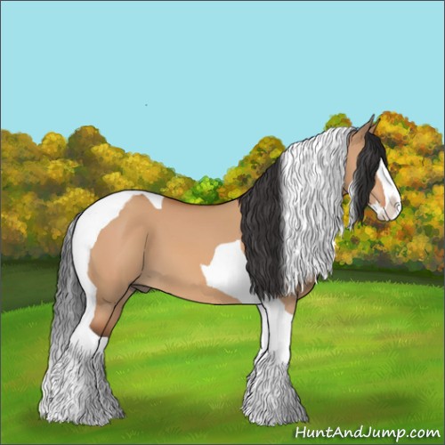 Horse Color:Bay Dun Splash Tobiano 