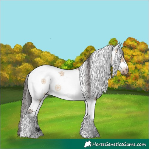Horse Color:White Spotted Bay Dun Splash Frame Rabicano 