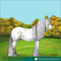 Horse Color:White Spotted Bay Dun Splash Frame Rabicano 