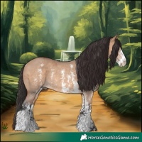 Horse Color:Bay Dun Sabino Rabicano 