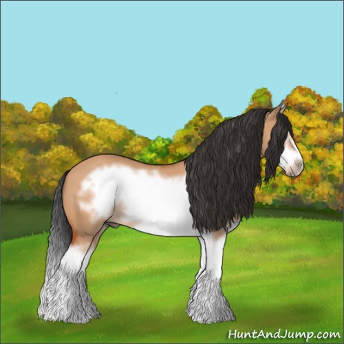 Horse Color:Bay Dun Sabino Splash Frame 